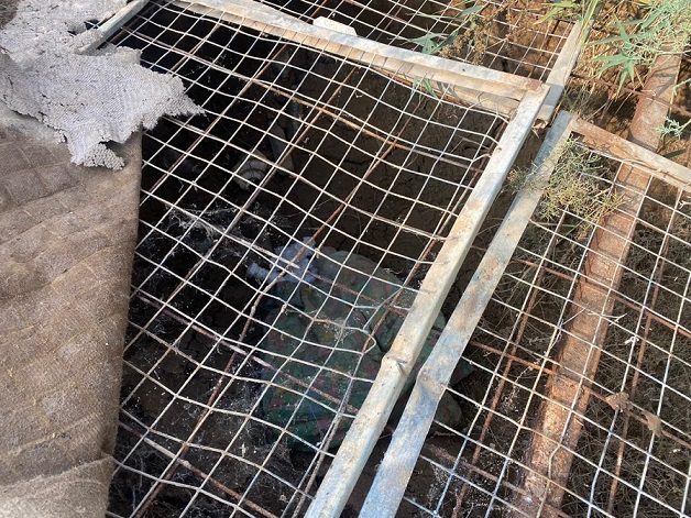 العثور على مضافات لداعش الإرهابي في الطارمية