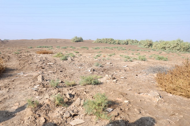 دعوات للاهتمام بمقبرة المحاويل الجماعية