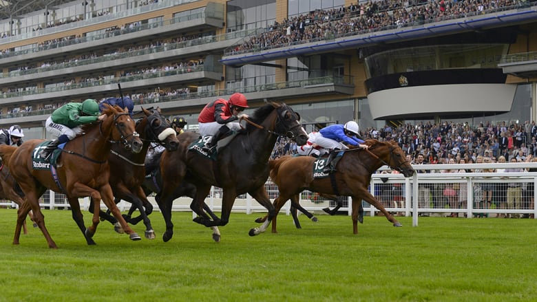مربو الخيول في ميسان يعقدون مؤتمرهم الأول ..تعرف على مطالبهم